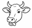 HASU logo
